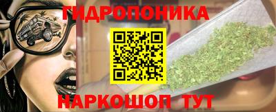 спайс Гай