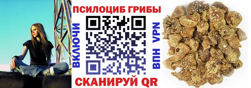 Галлюциногенные грибы прущие грибы  гидра рабочий сайт  Кимры  купить  цена 
