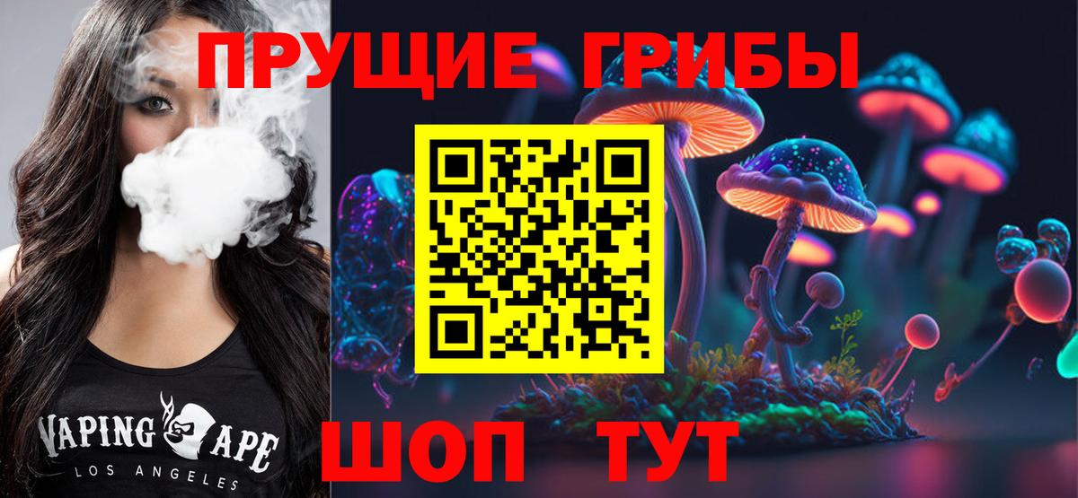 Галлюциногенные грибы MAGIC MUSHROOMS  Вход с VPN  Кимры 