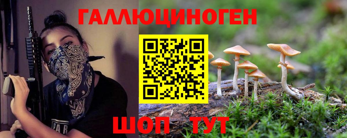 Галлюциногенные грибы прущие грибы Кимры